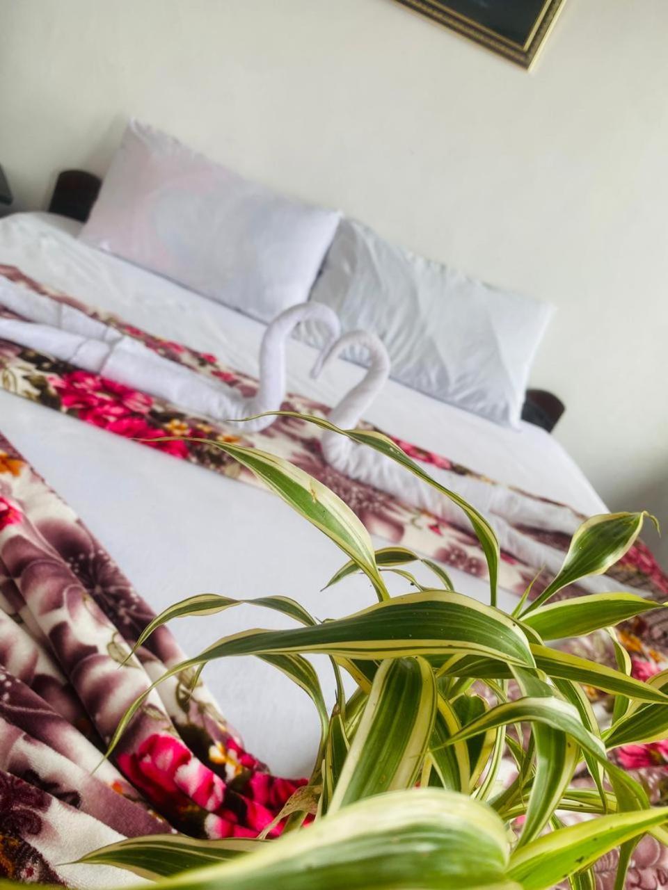 Farah Guest Inn ハプタレー エクステリア 写真